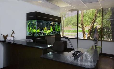 辦公室魚缸擺放位置